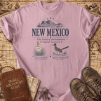 New Mexico -- T-Shirt